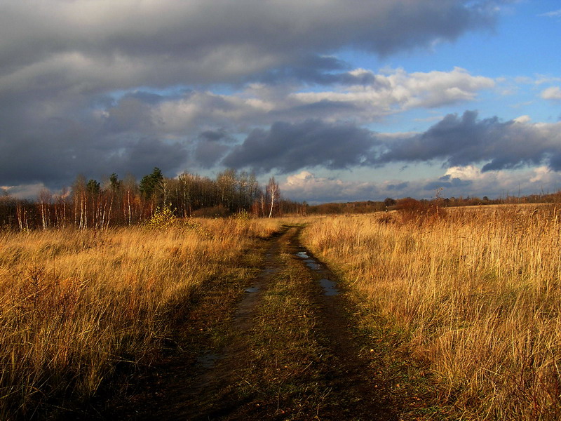 Jesienny widok