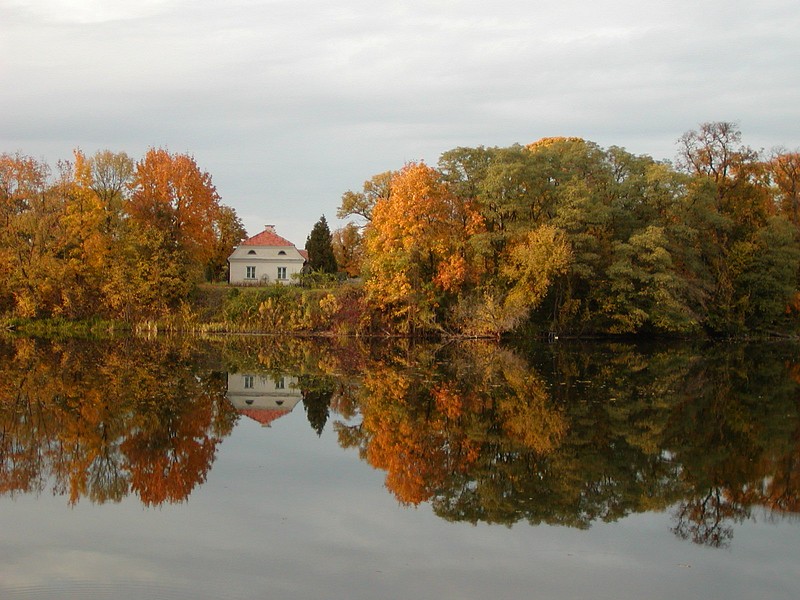 symetry of nature