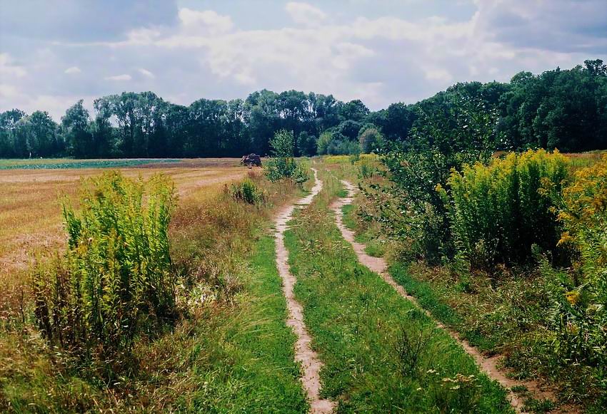 Obok Parku Natolińskiego