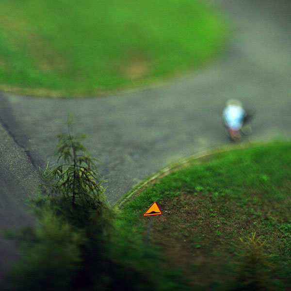 small world from my window