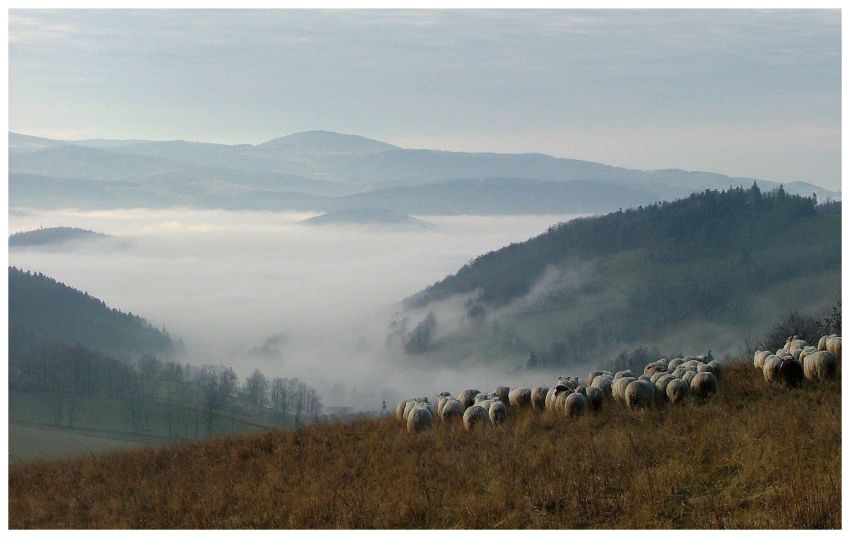 Na Przełęczy Lądeckiej II