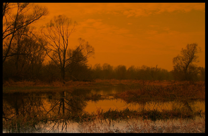 Narew II