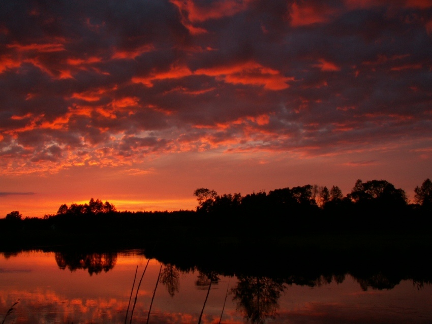 Zmierzch nad Narwią