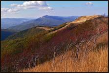 Bieszczady - Bukowe Berdo