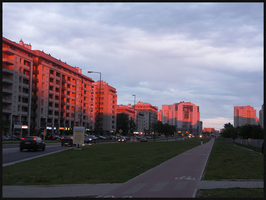 Natolin - Summer in the City