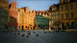 Wrocławski rynek