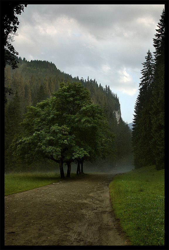 Tatry 2006