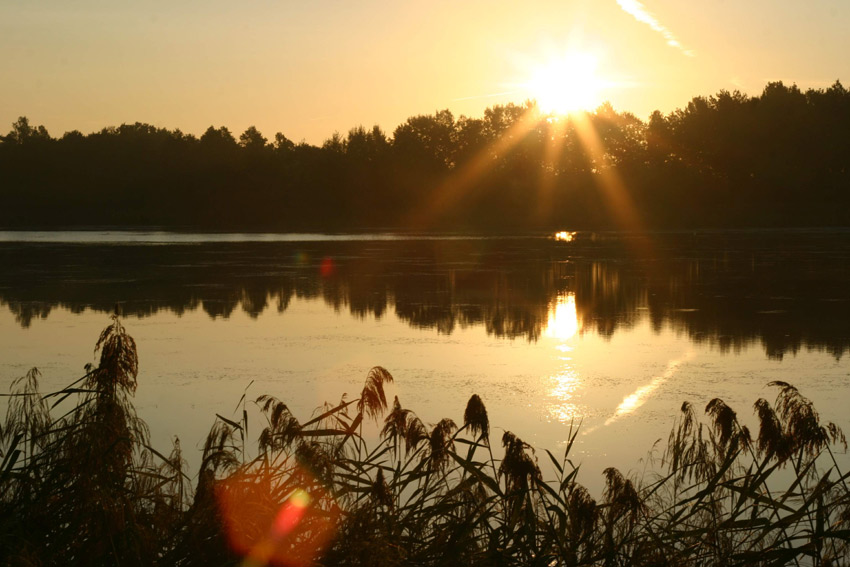 wschód nad stawem