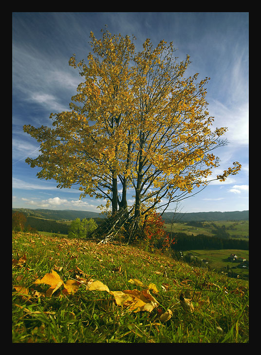 Beskidy ...