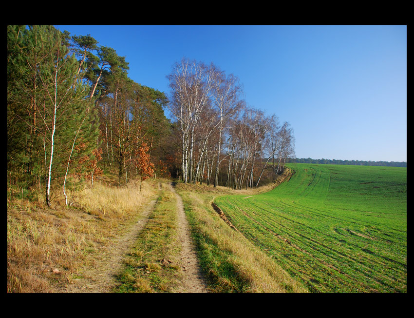 jesiennie 2 grudzień