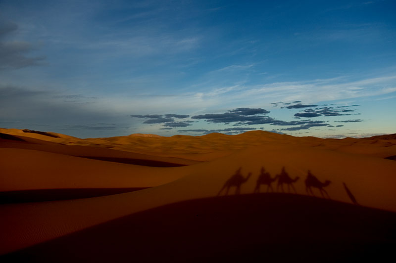 Erg Chebbi. Sahara.