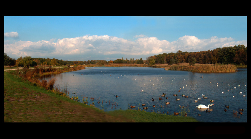 jesienna panorama