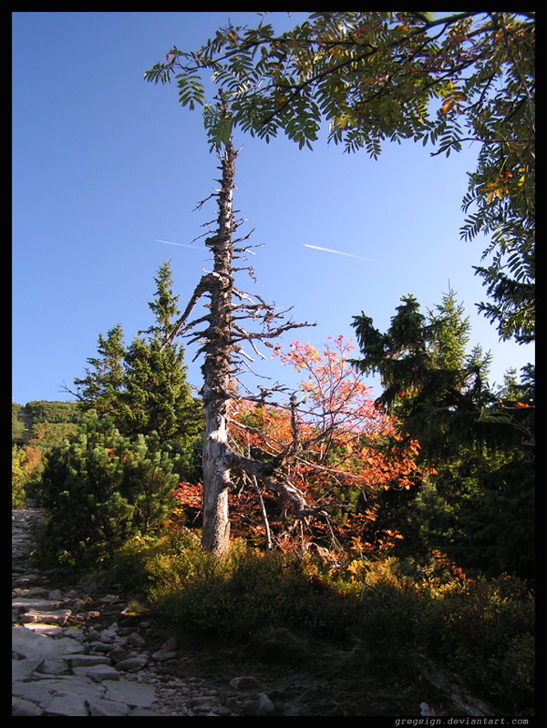 Beskid