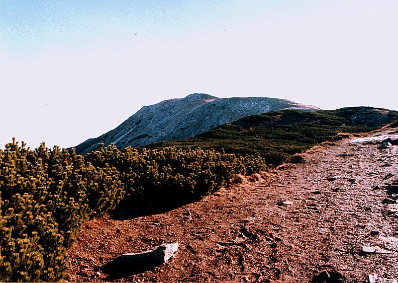 Babia Góra,widok na Diablaka