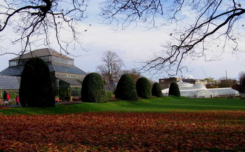 Ogród Botaniczny w Glasgow