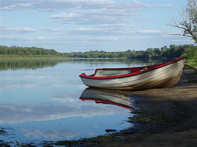 narew