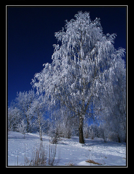 Piękna zima nad węgrowskim zalewem