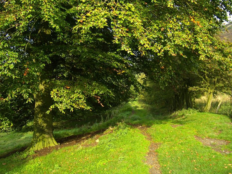 Church Stretton Anglia