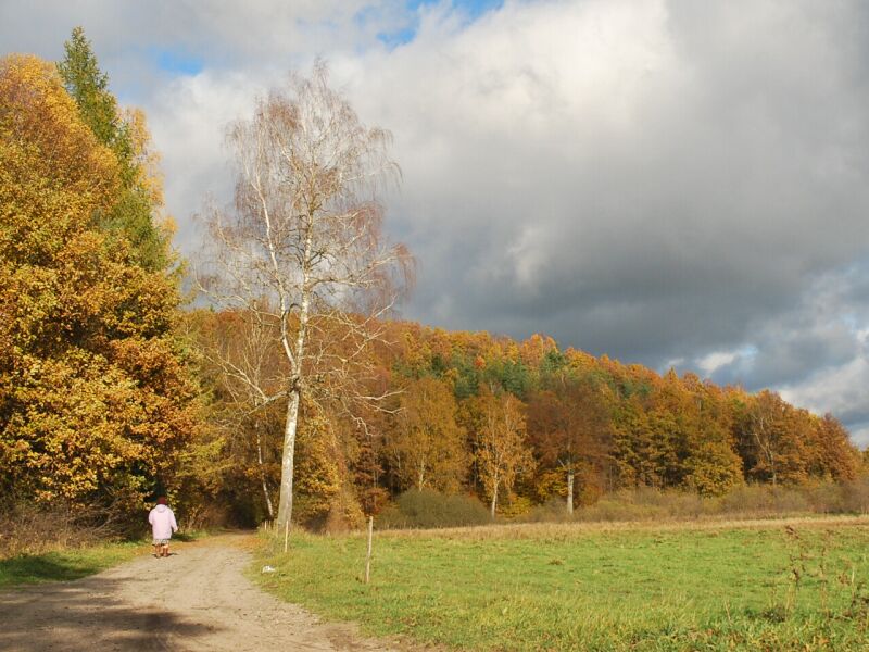 zdążyć przed burzą