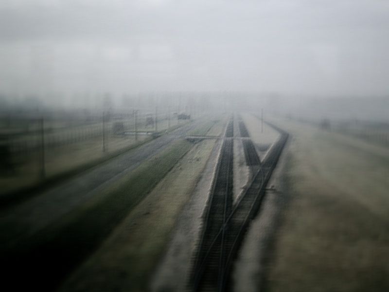 Auschwitz-Birkenau (4)