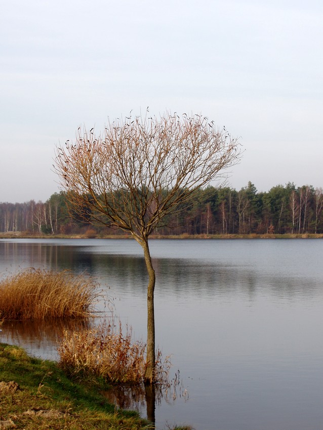 jesień nad wodą