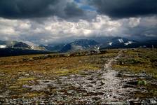 Nor-way - Rondane