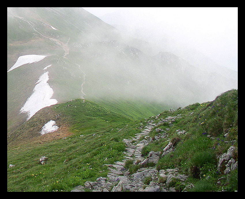 Walking in the fog