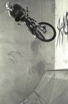 Barspin - Papierz