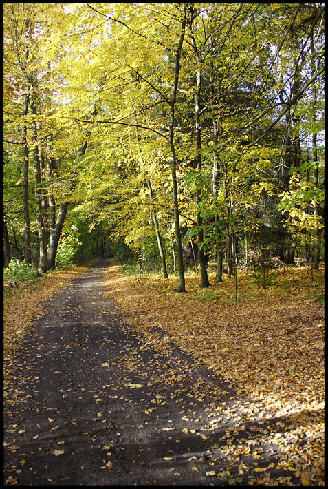 Jesień Chopinowska