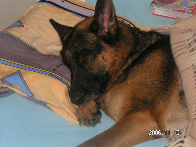 nataliu