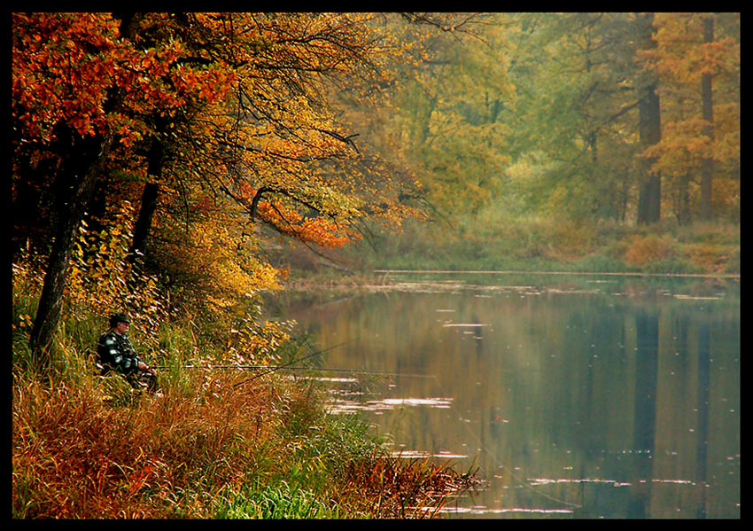 Stara Odra