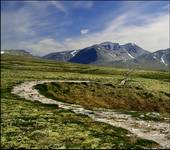 Nor-way - Rondane