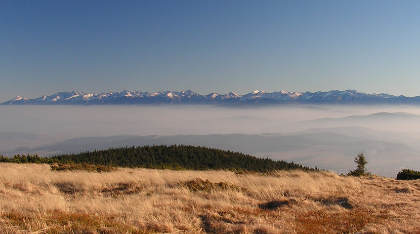 Tatry widziane z oddali II