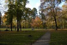 Jesień idzie przez park