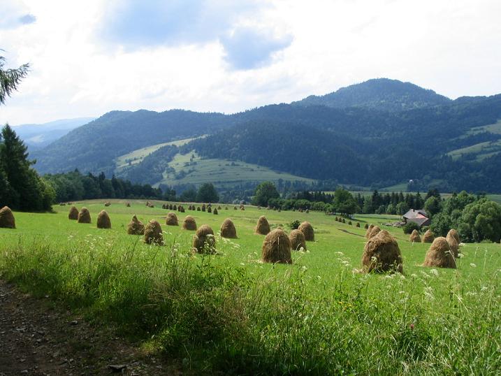 Hej, w góry popatrz