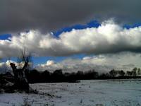 Czekając na śnieg II