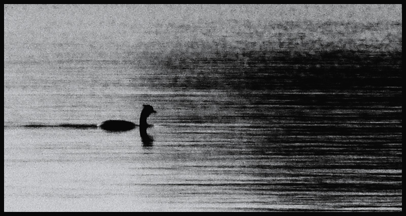 Nessie  (lokalna odmiana)