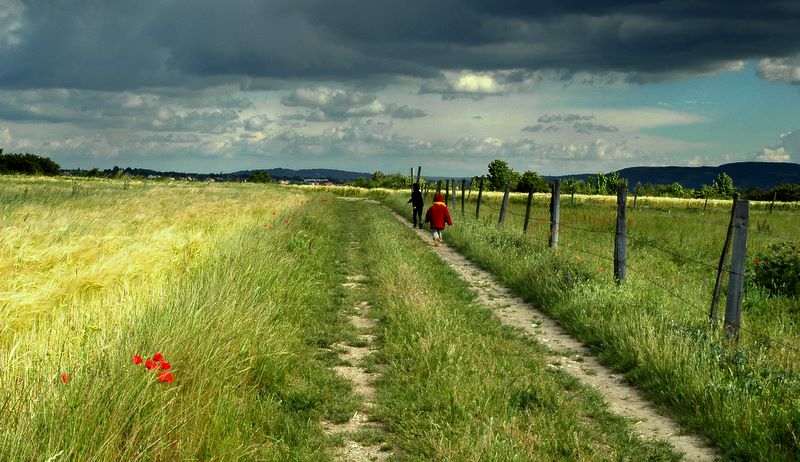 Przed burzą