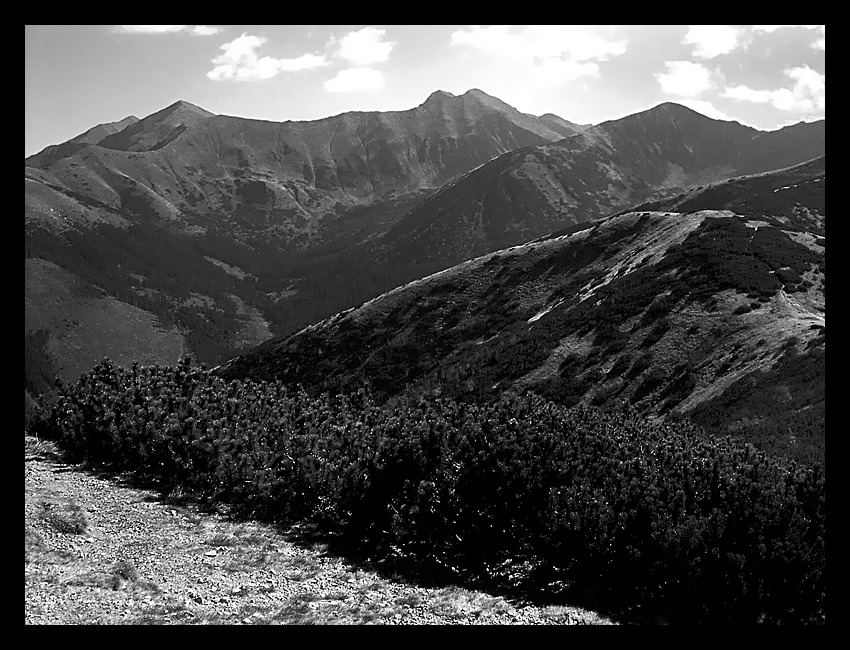 Tatry Zachodnie z Grzesia