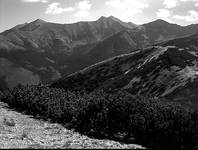 Tatry Zachodnie z Grzesia