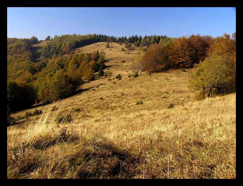 Wielka Jaworzyna 1099m