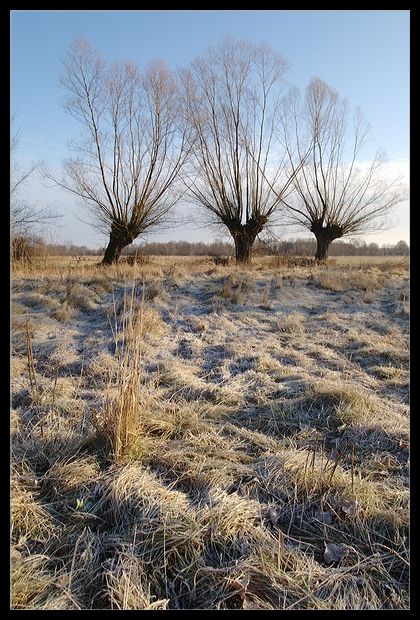 Podlasie