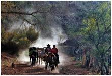 Havasupai Tribe