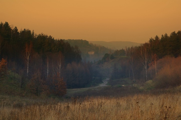 Gdańsk Morena