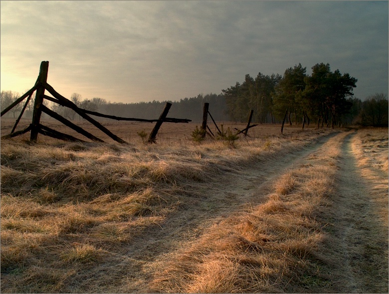 Dotyk grudniowego słońca |10.12.2005|