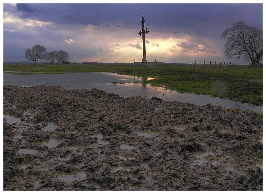 Nad Biebrzą