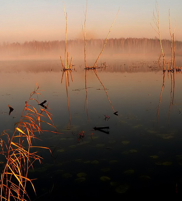 Mgiełki poranne