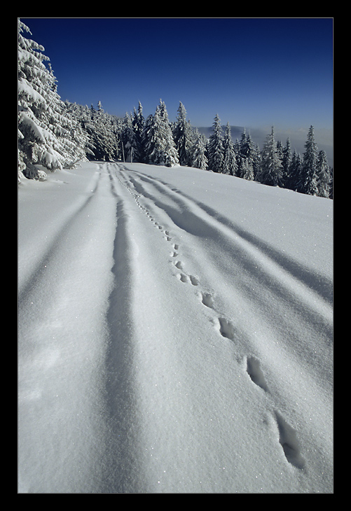 Beskidy ...