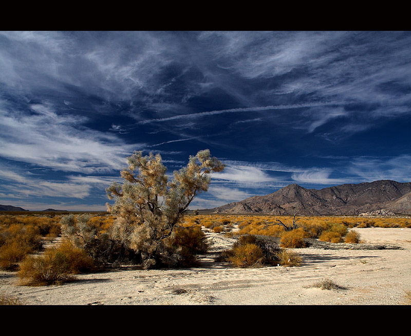 Death Valley