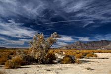 Death Valley